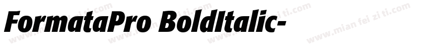 FormataPro BoldItalic字体转换